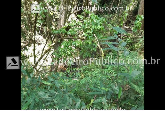 Prudentópolis (pr): Imóvel Rural 32.065,00m² mfwsy dgovi - Foto 4