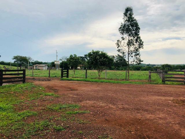 Prima.Vera do Oeste MT 1000 ha - Foto 2