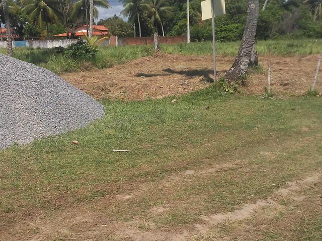 Promoção - Foto 3
