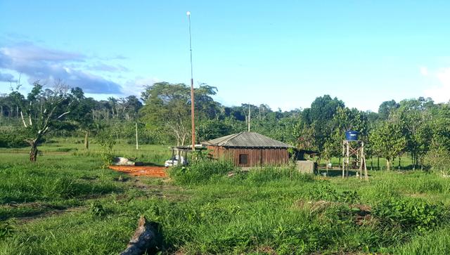 Fazenda com 280 hectares em Rorainópolis, ler descrição do anuncio - Foto 11