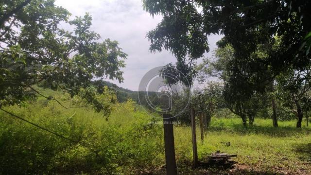 Sítio 20 ha região baú da guia mt - Foto 10