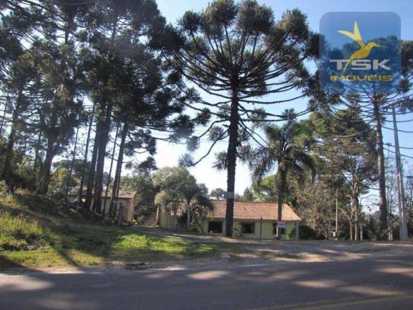 CH0252 - Agudos do Sul Chácara 10.000 m² frente asfalto 2 km da cidade - Foto 3