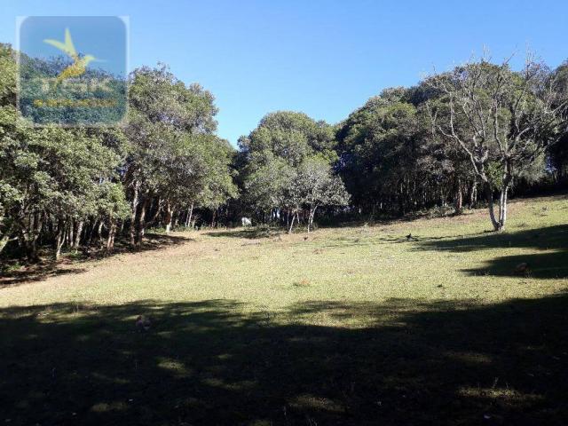 CH0143 - Quitandinha - 7.000 m² - Área para formar chácara