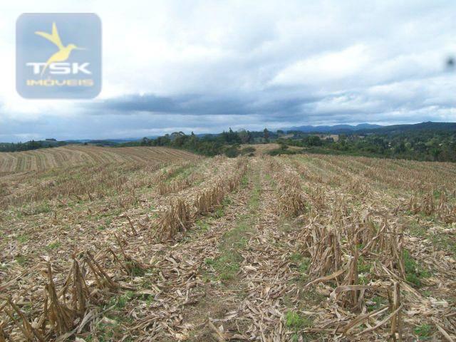 Fazenda em Quitandinha - (Cerrinho) - - Foto 10