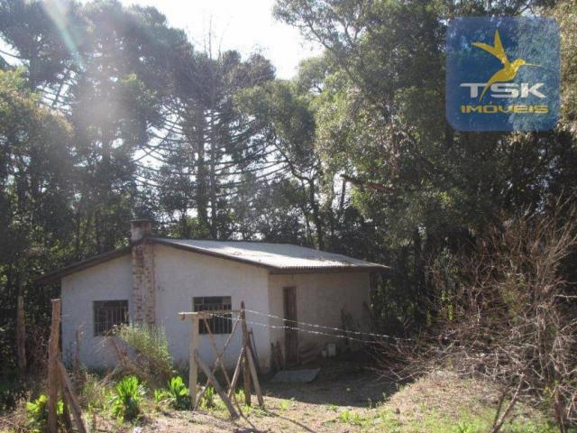 CH0252 - Agudos do Sul Chácara 10.000 m² frente asfalto 2 km da cidade - Foto 17