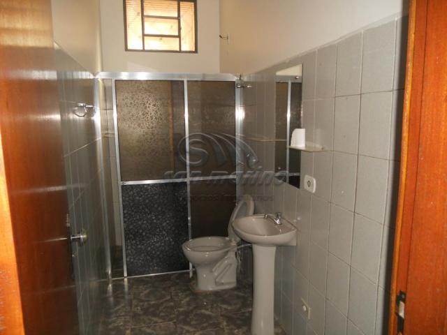 Casa para alugar com 3 dormitórios em Jardim brandi, Jaboticabal cod:L660 - Foto 16