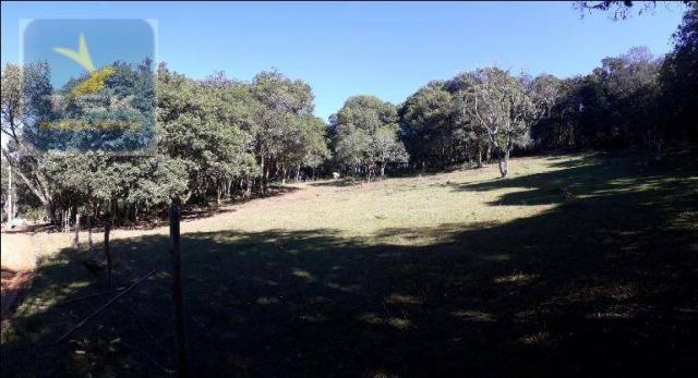 CH0143 - Quitandinha - 7.000 m² - Área para formar chácara - Foto 3