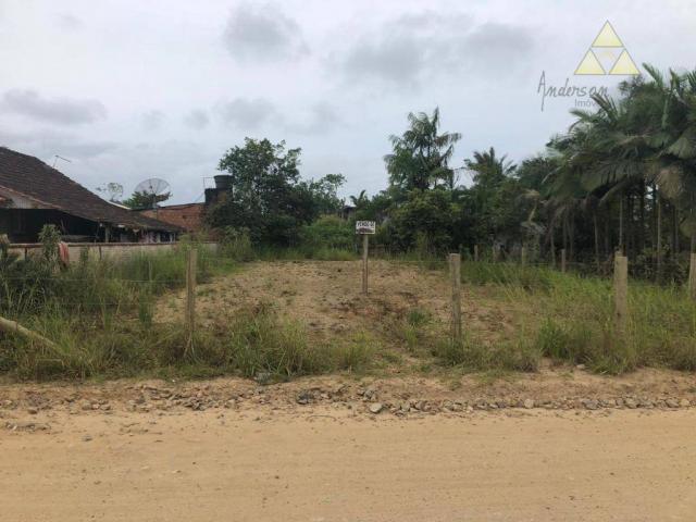 Terreno à venda, 300 m² - itajuba - barra velha/sc - Foto 4