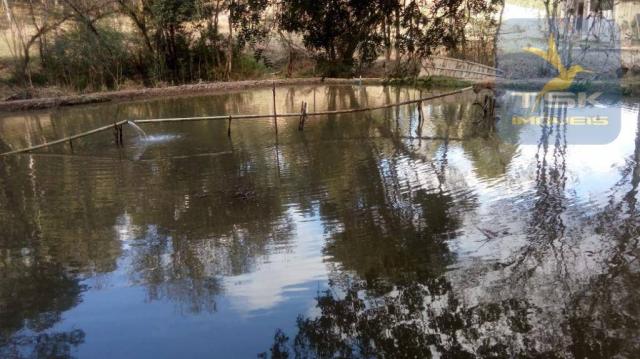 Chácara Rural/Comercial 1.500 m² Mandirituba frente estrada - Foto 8