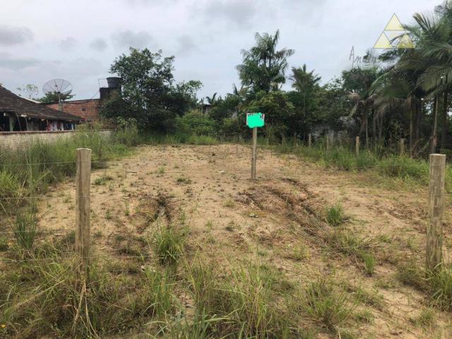 Terreno à venda, 300 m² - itajuba - barra velha/sc
