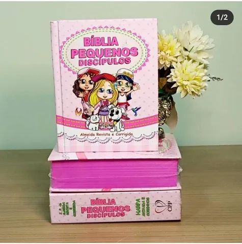 Bíblia Infantil completa ( Antigo e Novo Testamento)
