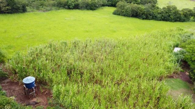 8 Hectares em Jaraguari de Terra Boa! - Foto 5