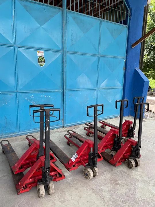 Paleteiras diversas marcas (patinha) - Foto 2