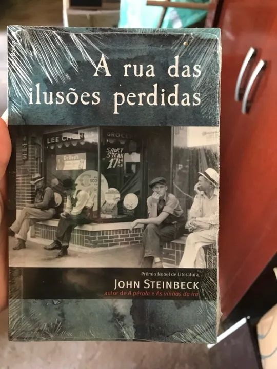 Livro: A rua das ilusões perdidas
