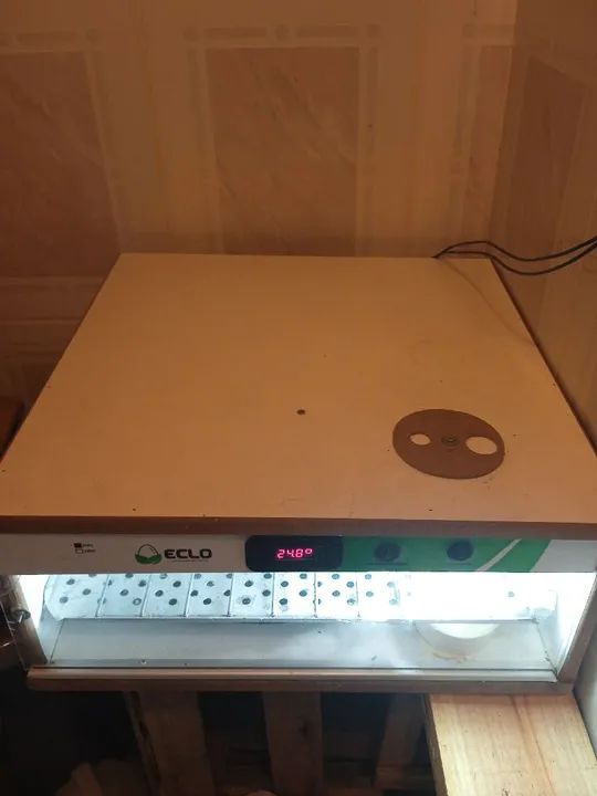 Incubadora de ovos Eclo para aves - Foto 2