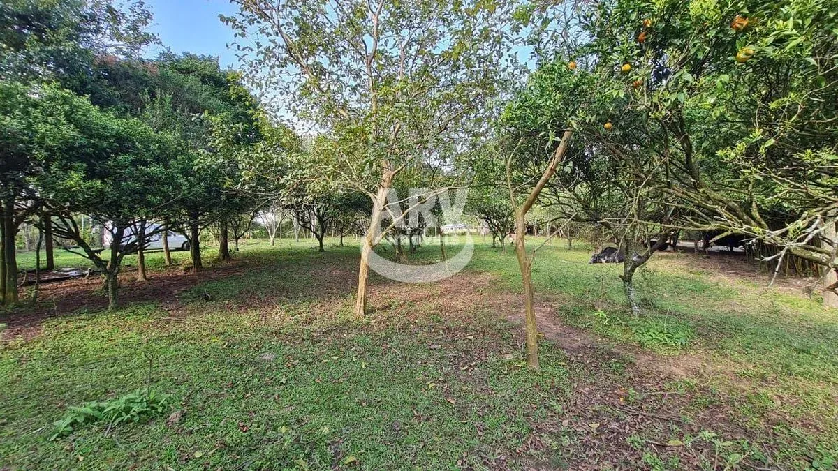 Sítio - Neópolis - Gravataí - RS