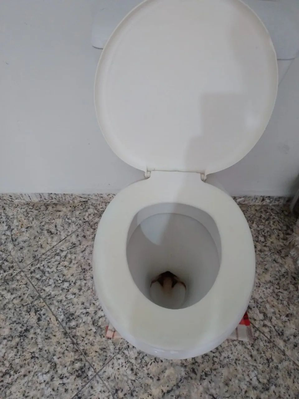 Vaso Sanitário com Caixa Acoplada - Foto 3