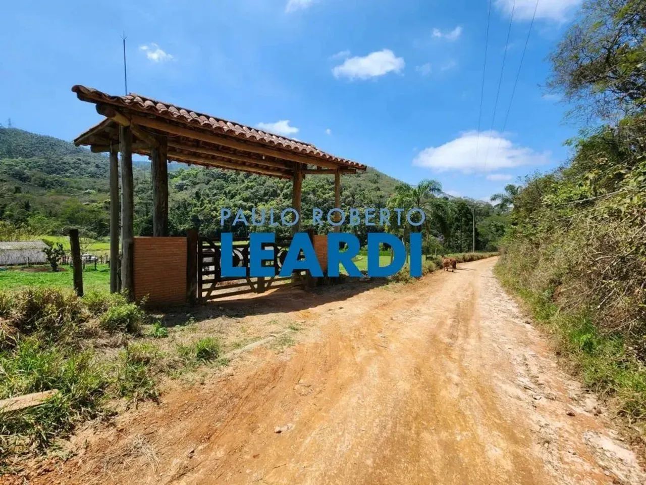 SÍTIO - PIÃO - SP