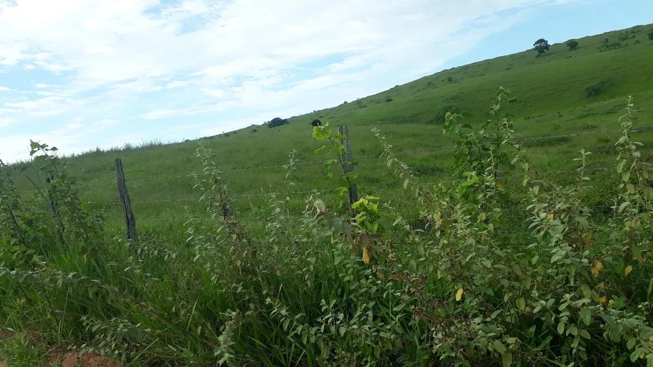 Venda-se está fazenda de 80 Alqueires no Município de Kennedy/ES. - Foto 5
