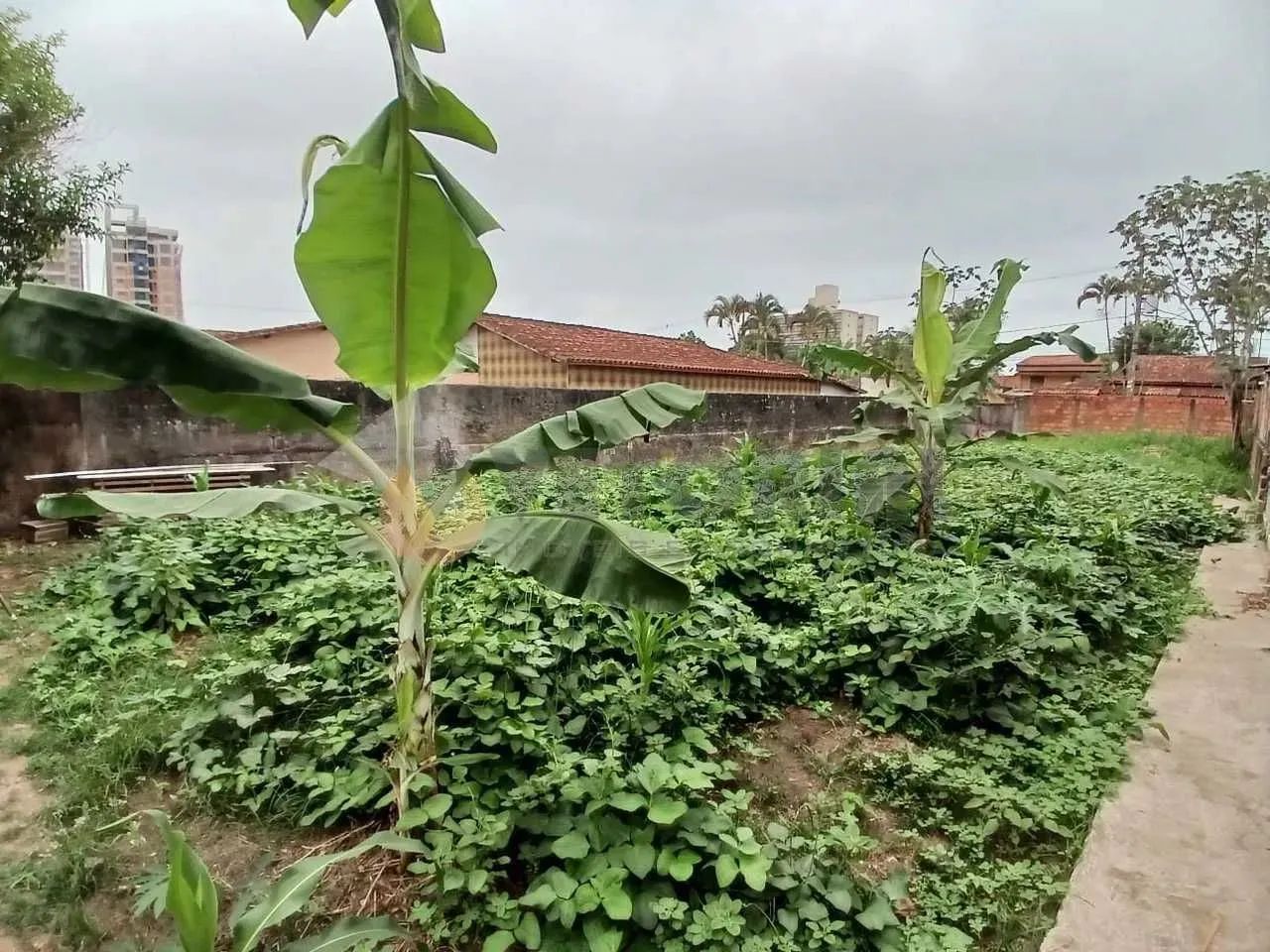 Terreno à venda, 1000 m² por R$ 1.300.000,00 - Jardim Brasil - Caraguatatuba/SP - Foto 8