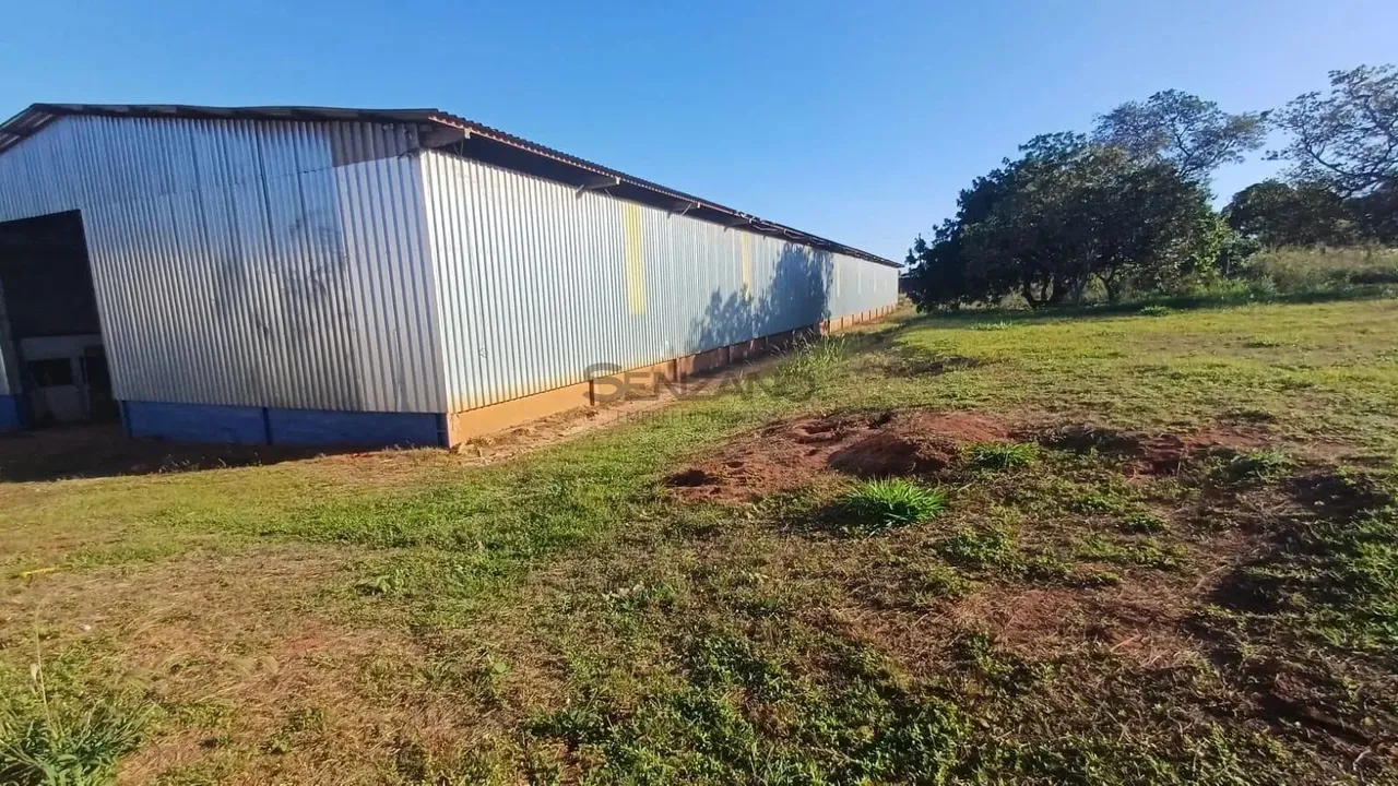 Galpão / Depósito / Armazém em Conjunto Aero Rancho - Campo Grande