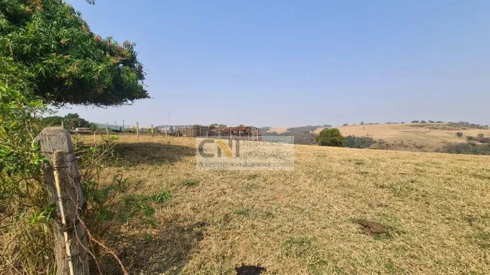 BELO SÍTIO EM IVAIPORÃ - Foto 5
