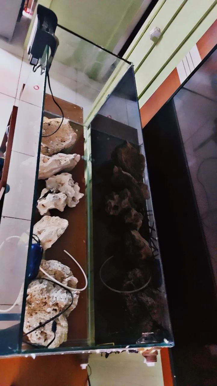 Aquário de água doce completo com acessórios - Foto 2