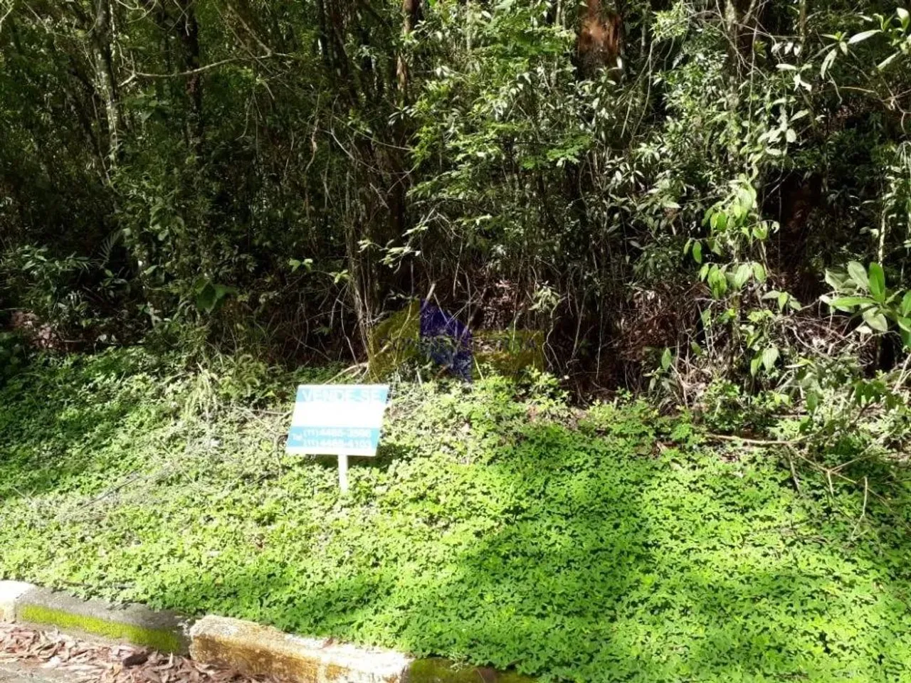 Lote em Condomínio para comprar Sausalito Mairiporã