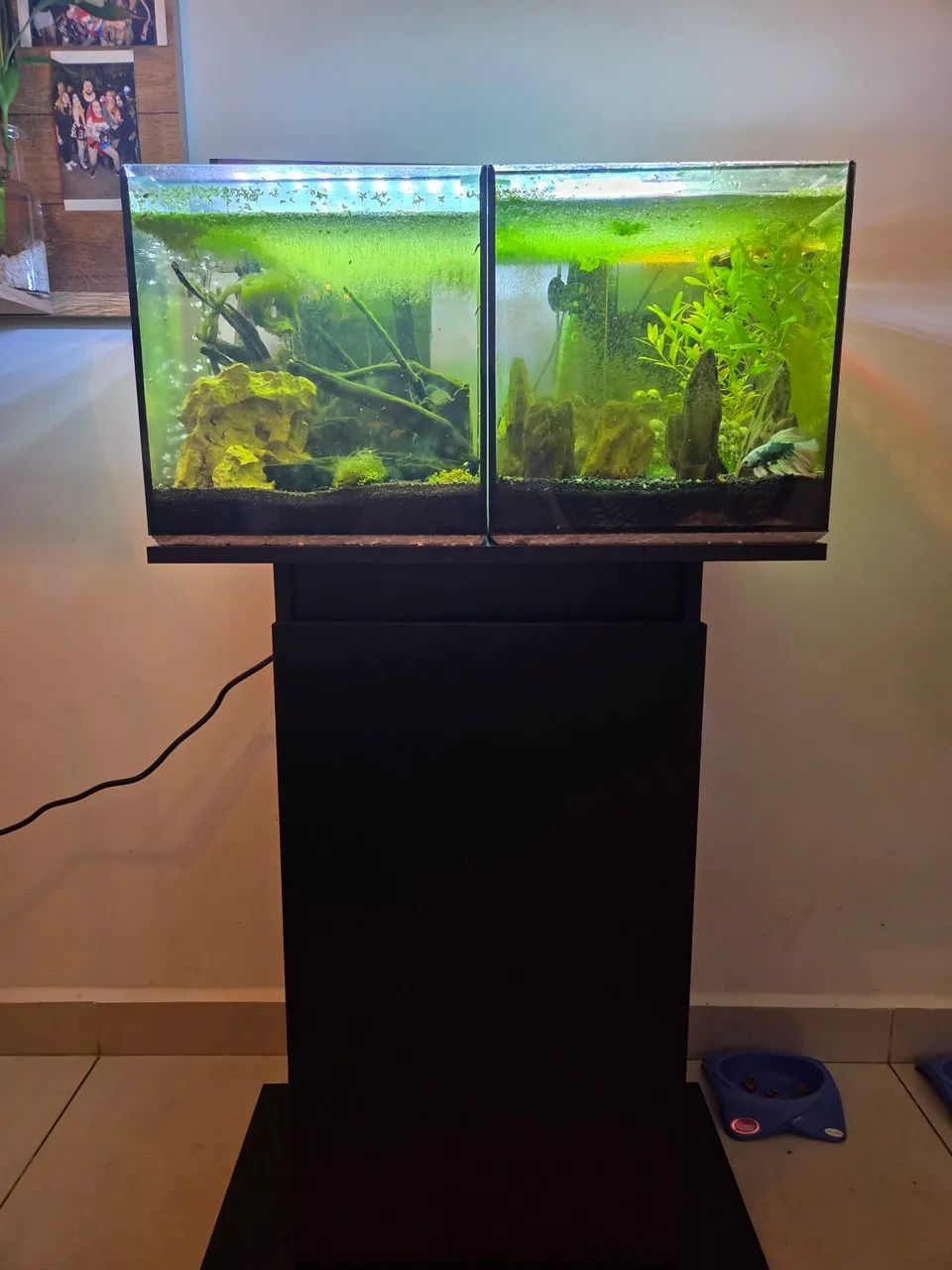 Aquários 30x30  Conjunto Completo com Móvel e Filtros