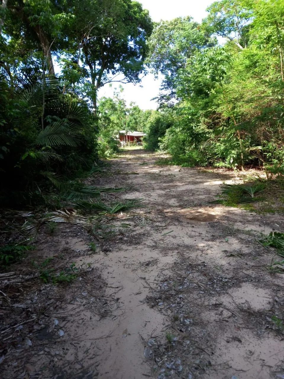 Foto - Santarém - Fátima