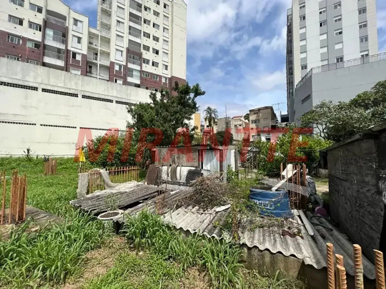 Terreno em Vila Gustavo - Foto 3