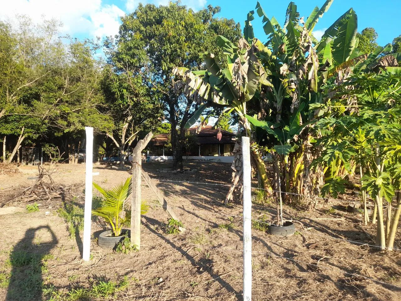 Terreno para rancho lagoa preta serra azul - Foto 4