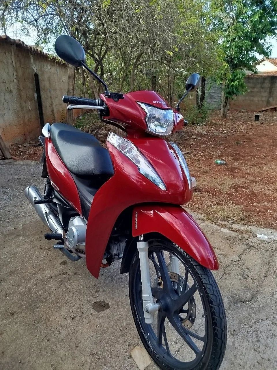 Única dona  - Foto 4