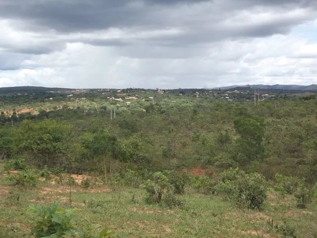 Terreno de 5ha, com luz e água encanada, próximo a vários comércios e muito mais. - Foto 5