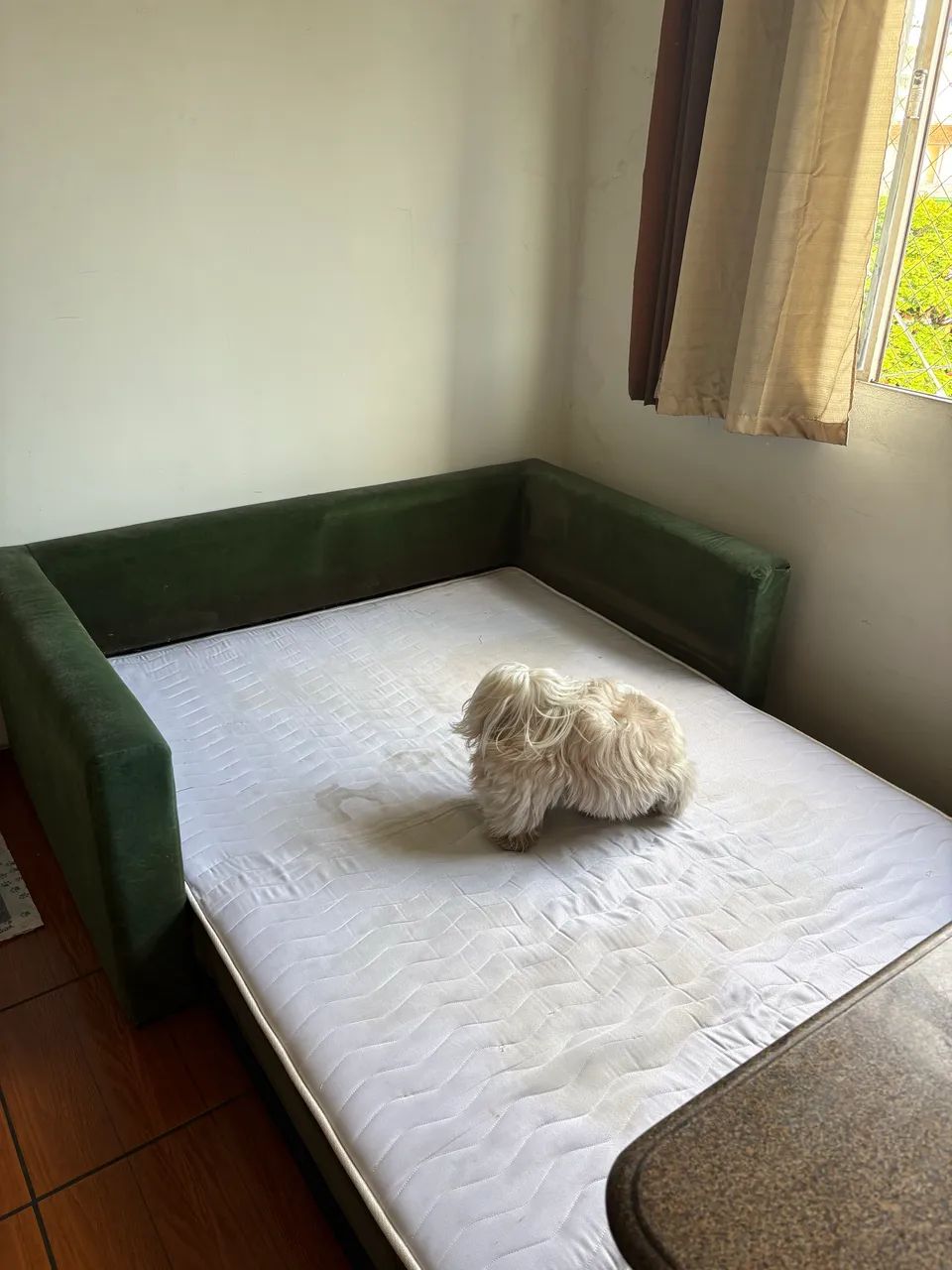 Sofá-Cama confortável - Foto 5