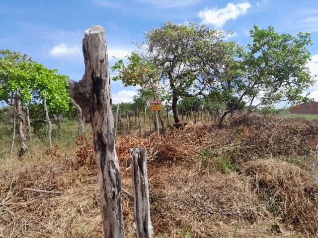 Vendo Terreno em Barreirinhas- MA - Foto 3
