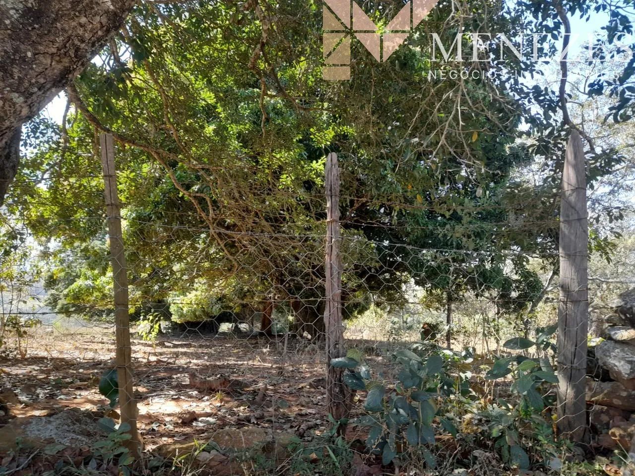 Fazenda à venda na Serra da Canastra - Foto 3