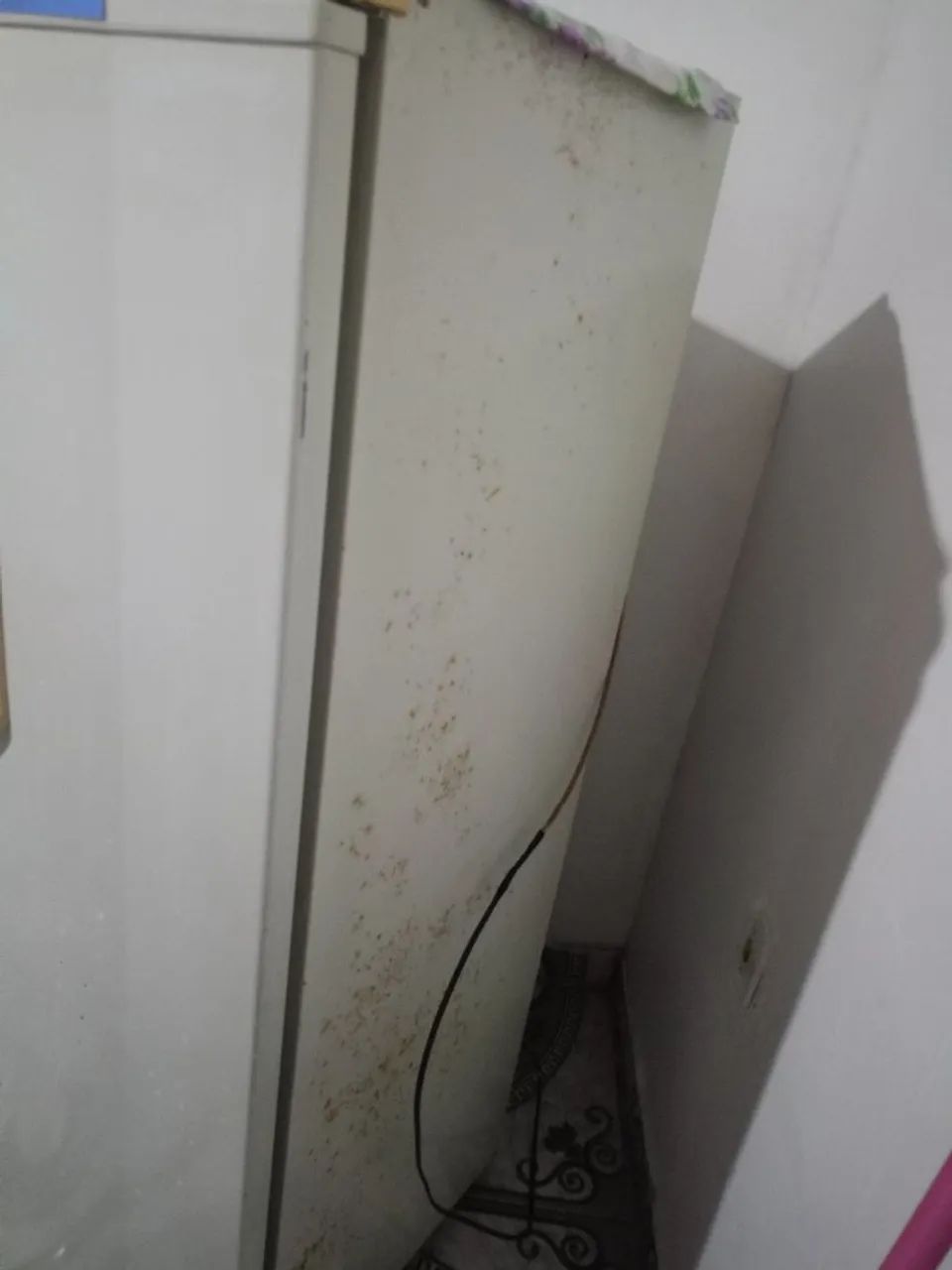 580 pra vim buscar no laguinho  - Foto 2