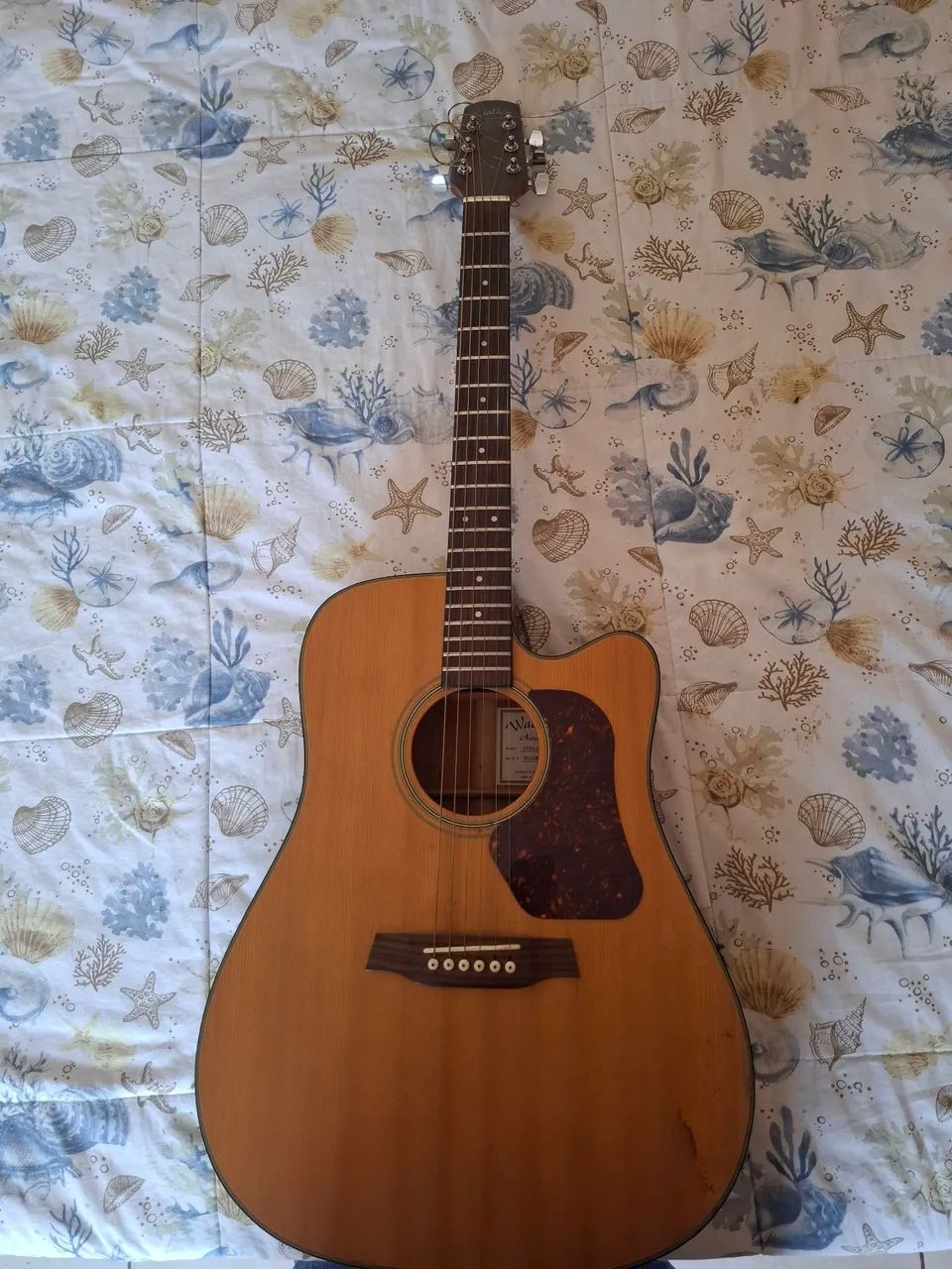 Violão  WALDEN - MODEL: D550 CE