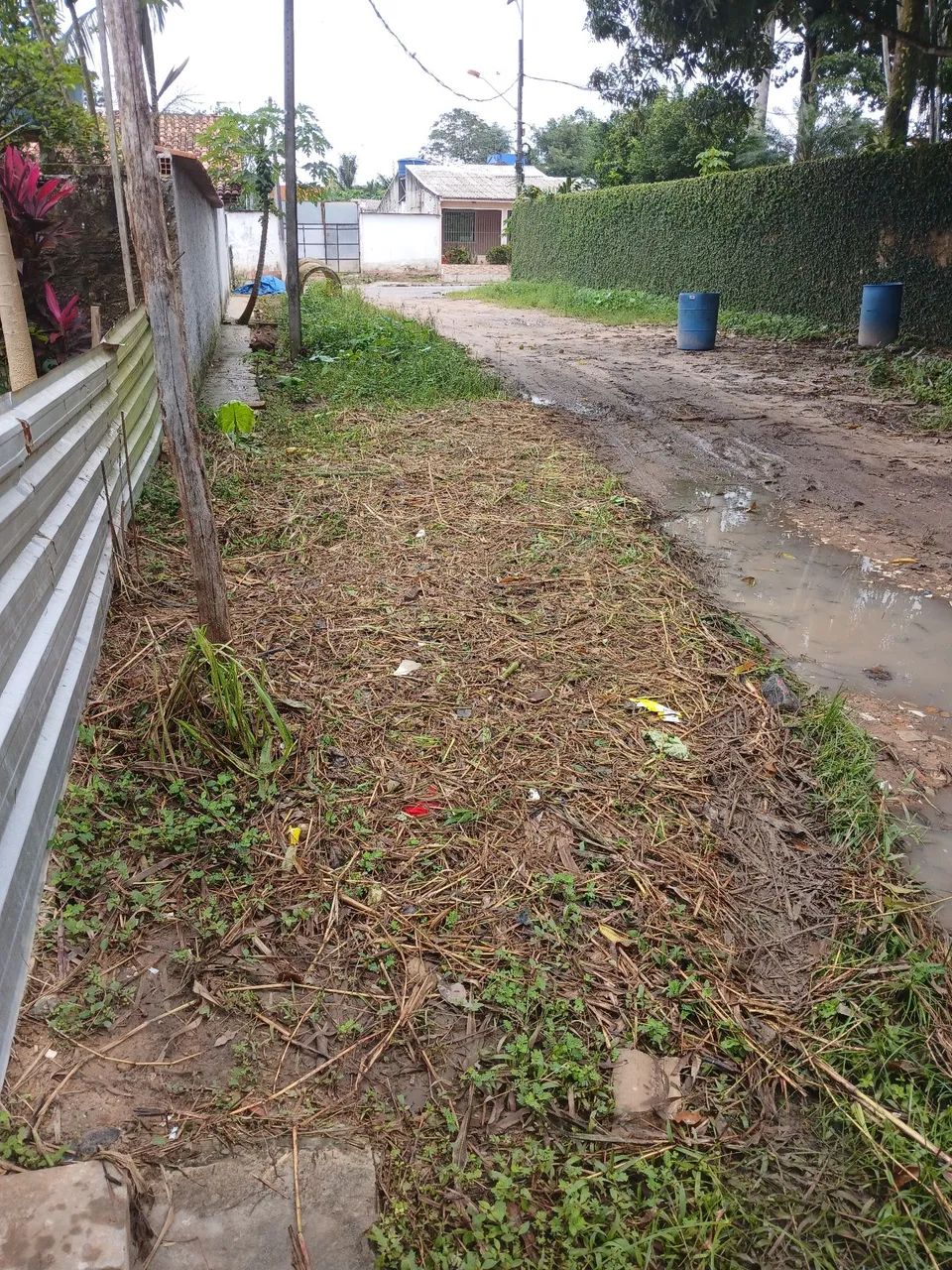 Terreno Próximo Augusto Montenegro  - Foto 3