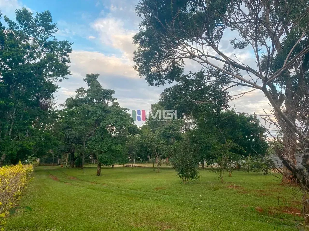 Imóvel para venda tem 5000 metros quadrados com 4 quartos - Foto 4