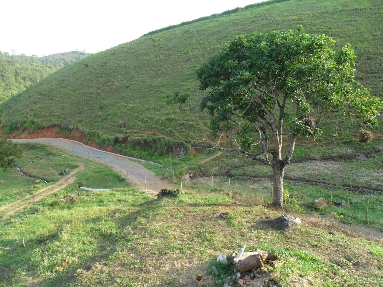 Sítio formado em ewbank x Santos Drumond  - Foto 4