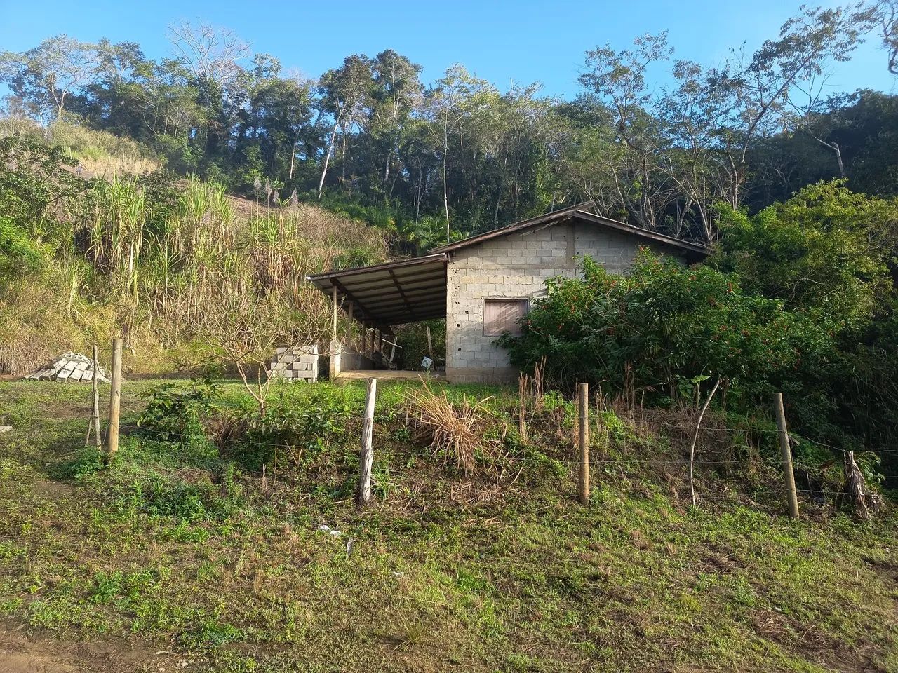 Chácara Pedro de Toledo SP - Foto 3