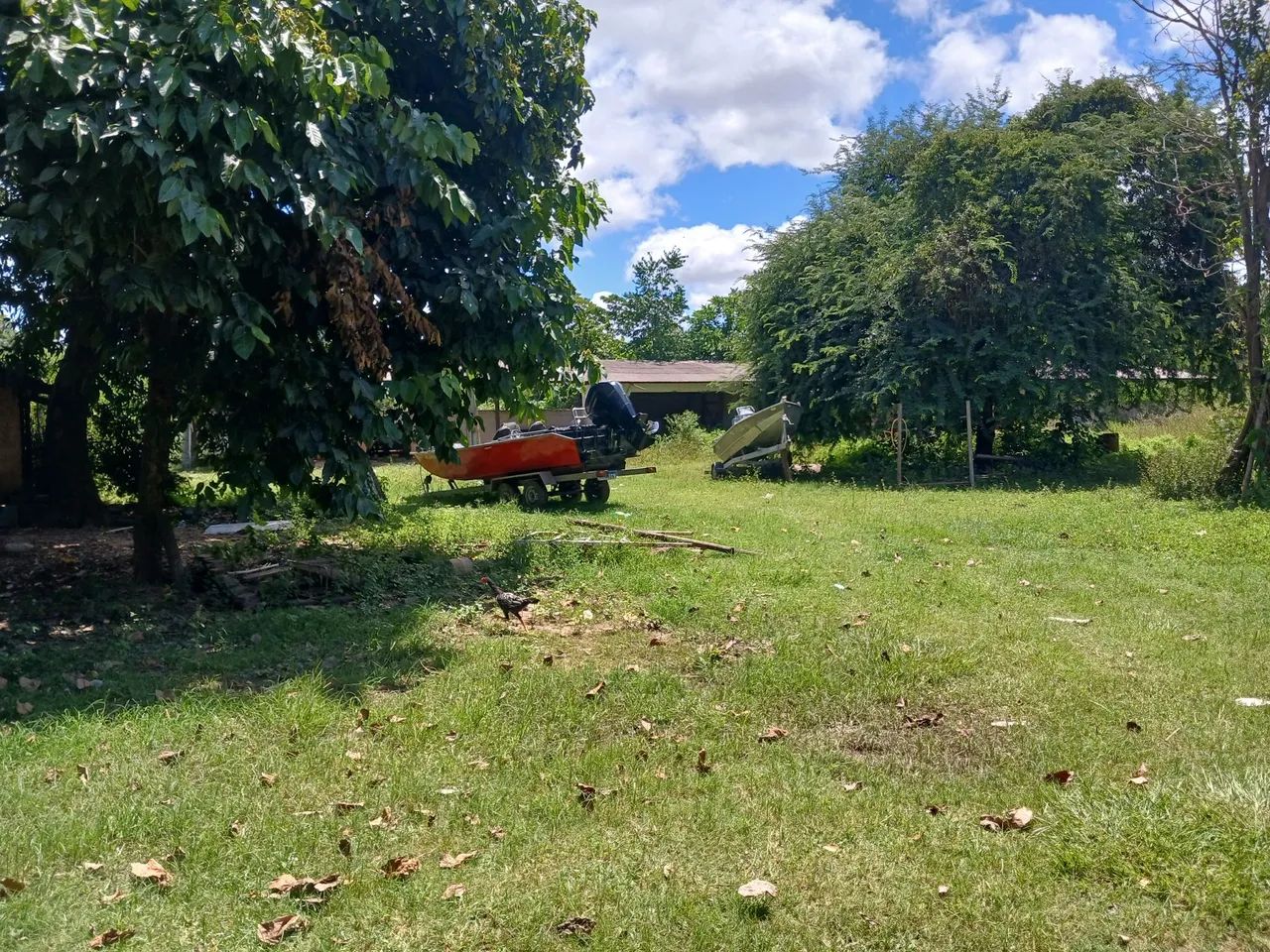 Fazenda