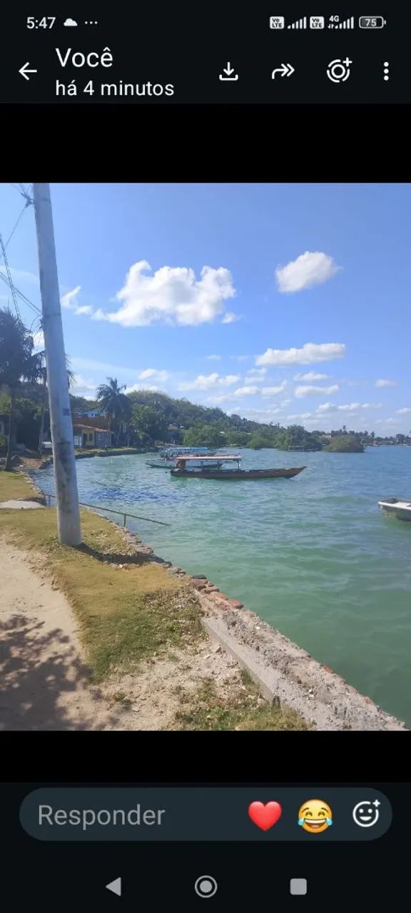 Terro na ilha de maré  - Foto 2