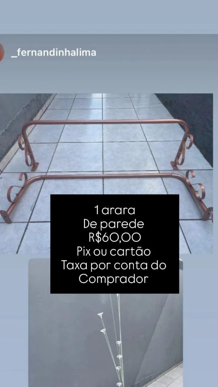Arara parede 