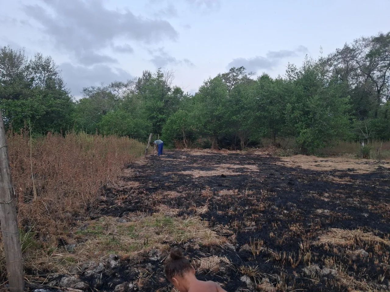 Vendo este terreno  - Foto 5