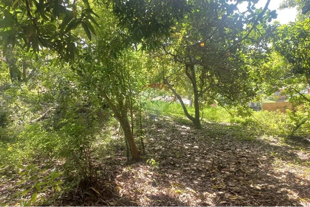Terreno em guaxuma Maceió, AL-101 - Foto 9