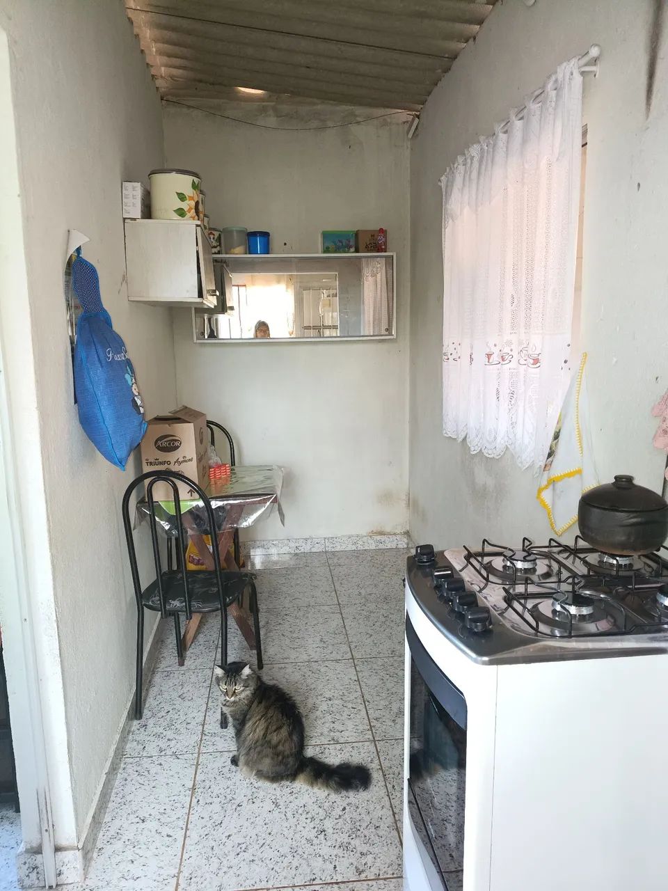 Vende se Barracão  - Foto 4