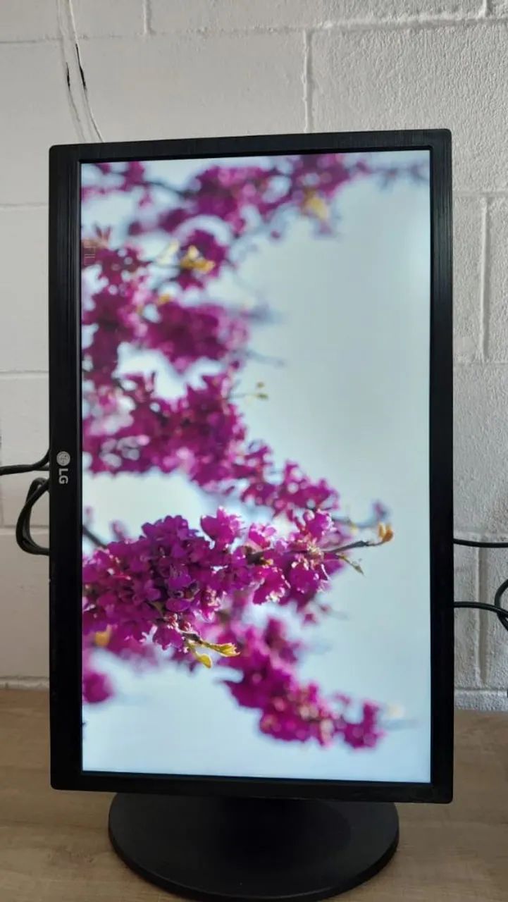 Monitor LG 22 Polegadas" Full HD com HDMI | Tela LED! - Foto 2